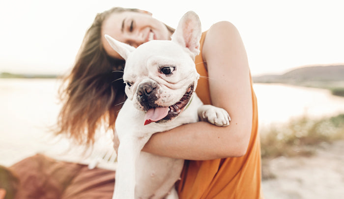 What toothpaste is safe for clearance dogs