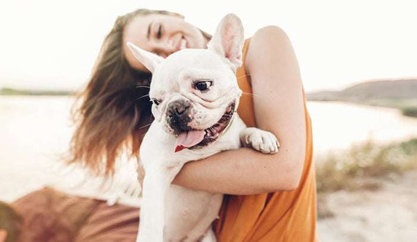 Xylitol and dog safety.
