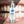Bottle of Chomp Fresh Probiotic Mouthwash with close-up of teeth before and after use.