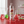 Silver bottle of Chomp Freshi Probiotic Mouthwash on a red surface with laboratory beakers in the background.