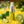 Chomp breath spray bottle with lime slices and text about product features