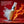 Chomp cinnamon fire breath spray with flames and ice crystals on a red background