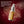 Chomp nano hydroxyapatite cinnamon fire breath spray bottle with text on a red background