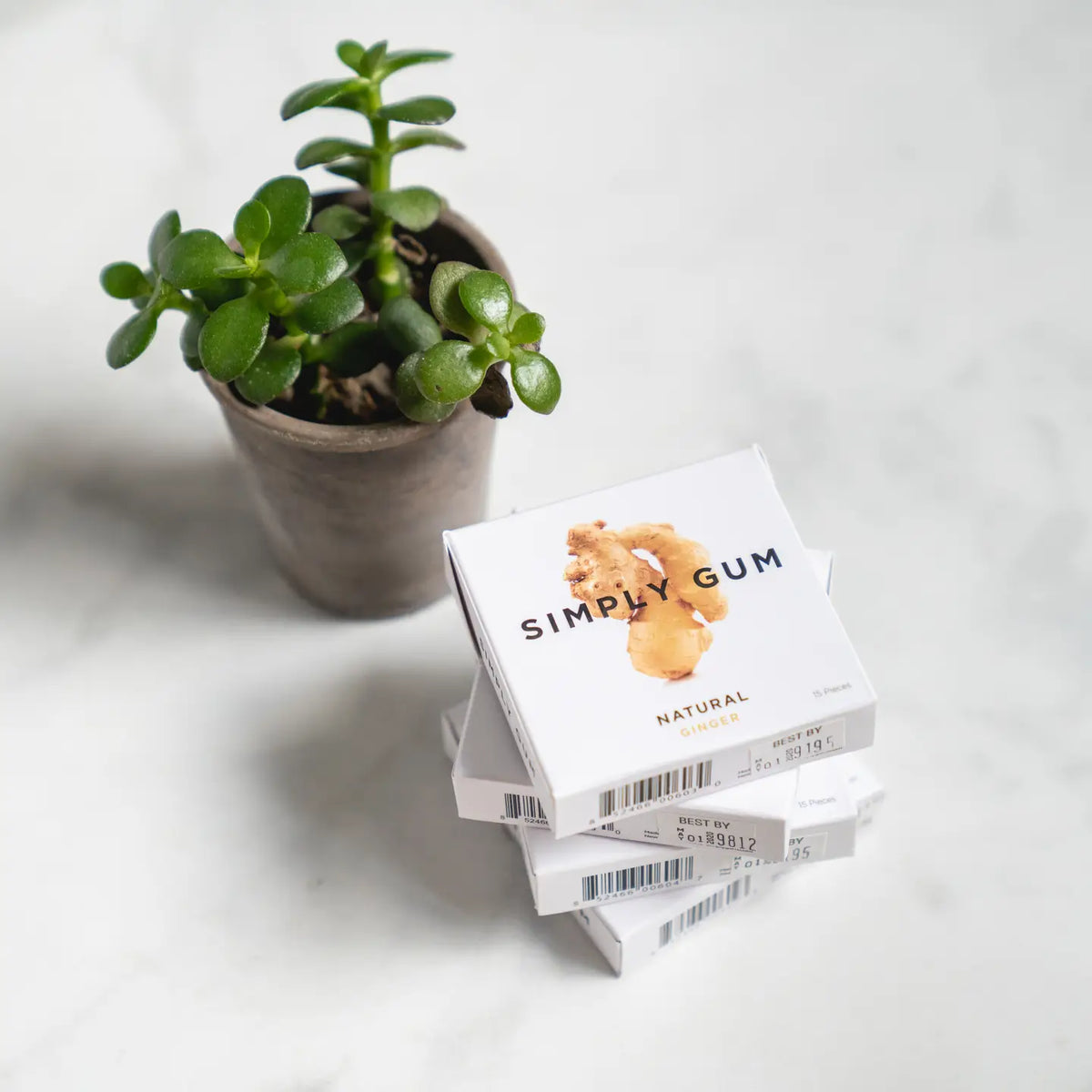 Stack of Simply Gum boxes with a potted plant on a light surface