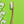 chomp bamboo flossing toothbrush