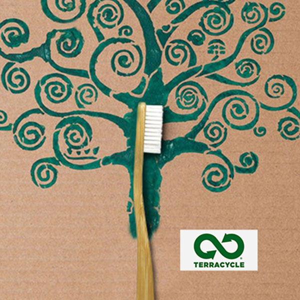 recycle toothbrush