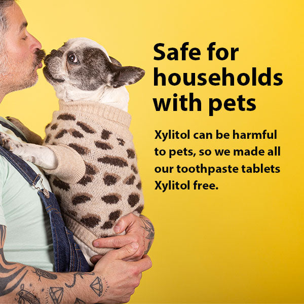 xylitol free pet safe tablets